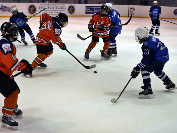 В Судогде детский хоккейный турнир начинается со скандала с фондом Рагулина