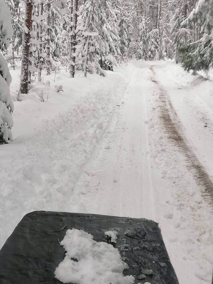 11 единиц техники привлечено для расчистки снега в Великолукском районе