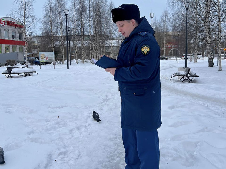 Прокуратура Новодвинска выявила нарушения в зимней уборке дорог