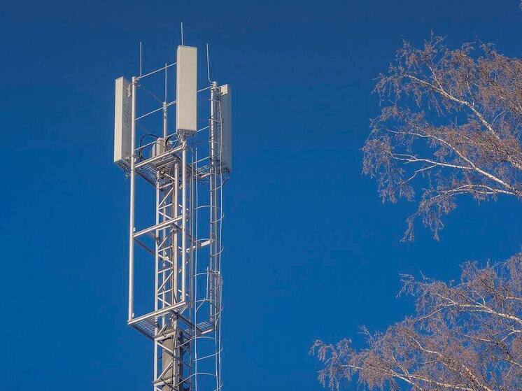 Более 98% домохозяйств в Новосибирской области обеспечены широкополосным интернетом