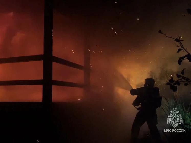 С начала года в Крыму потушили 24 пожара