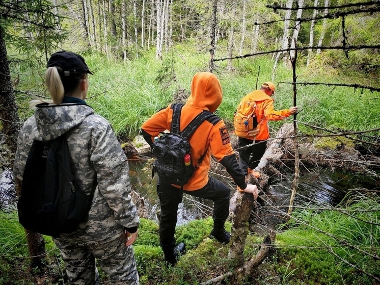 Поисковики Карелии за месяц помогли найти 8 пропавших