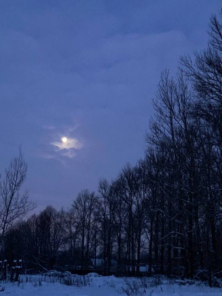 Метеоролог Сафонов: В Москву и область придет существенное похолодание