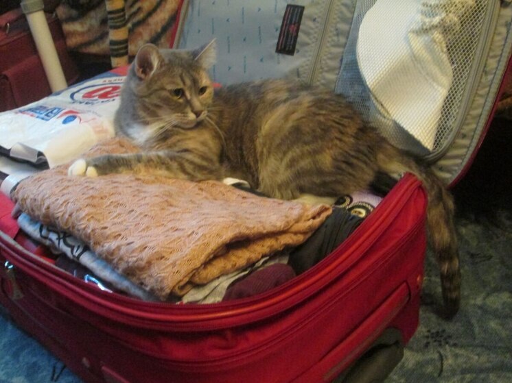 Эксперт рассказала о главном туристическом тренде для калининградцев