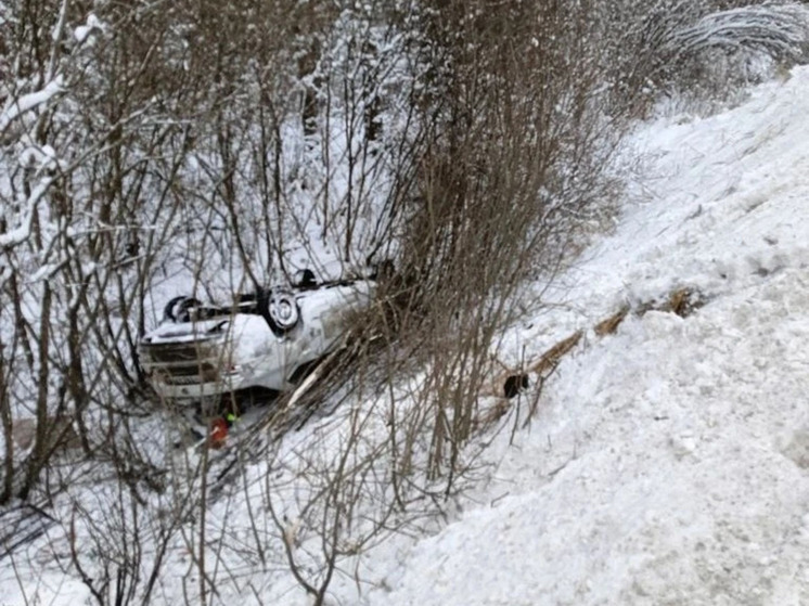В Шимском округе три человека пострадали при съезде автомобиля в кювет
