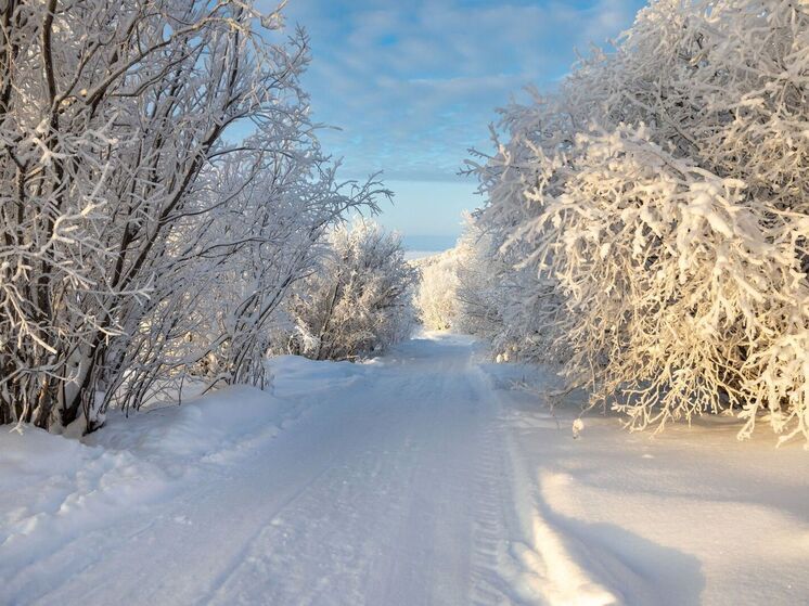 Депутат Заксобрания Сакал проверил работу электростанции в Зеленом Яре
