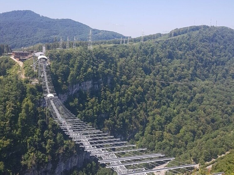 За год в Сочи высадили более 33 тысяч растений