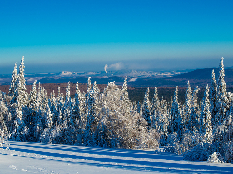 Под Златоустом задержали подозреваемого в браконьерстве с тремя тушами косуль