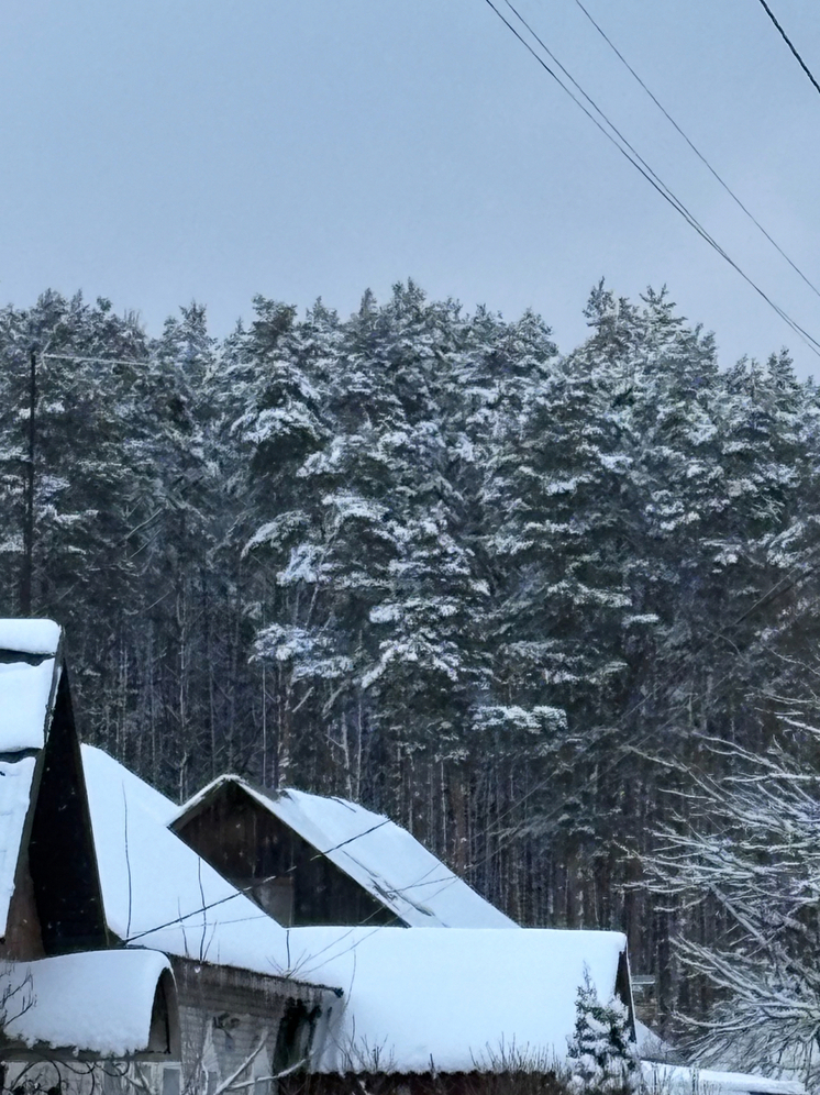 Облачность и переменчивые осадки: метеорологический прогноз для Запорожской области на 5–11 января