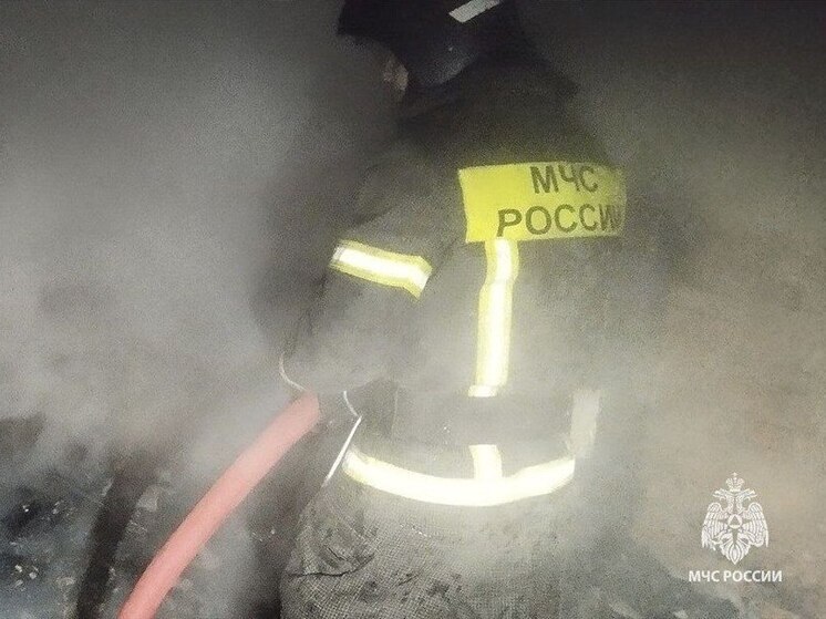 Горящий контейнер в Ефремове потребовал внимания 5 сотрудников МЧС