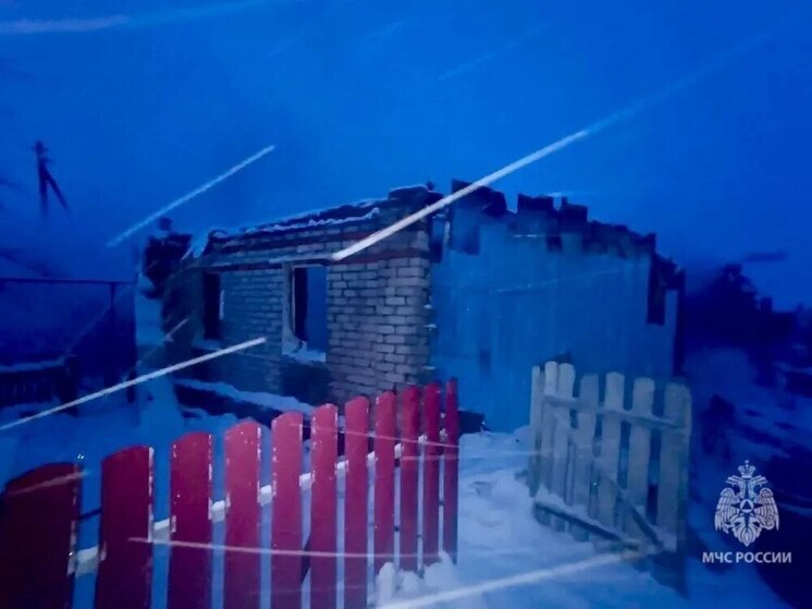 На пожаре в Петровском районе погибли два пенсионера