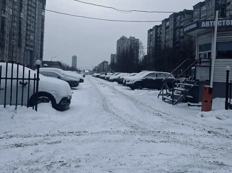 Платные парковки Приморского района не очистили от снега