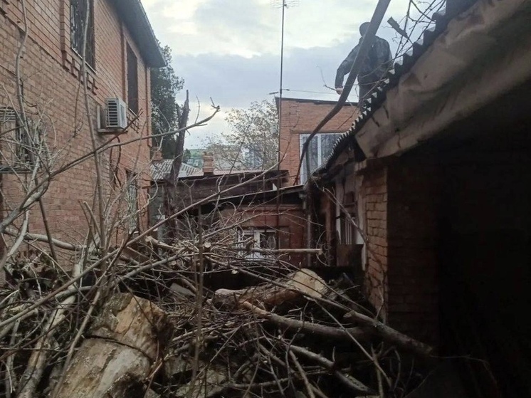 В Краснодаре убрали повредившее газопровод дерево