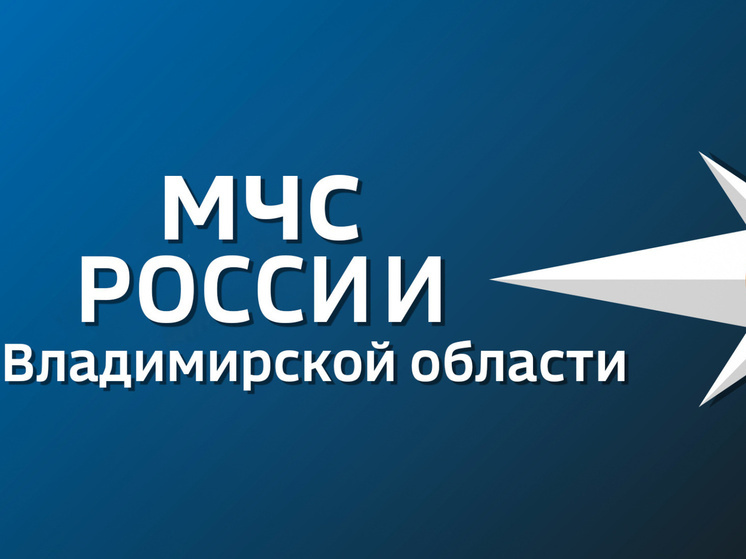 В Муроме сгорел частный дом на улице Заречной