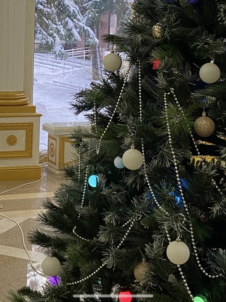 Запорожский одиннадцатиклассник из Токмака отправится в Санкт-Петербург при поддержке главы Пензенской области