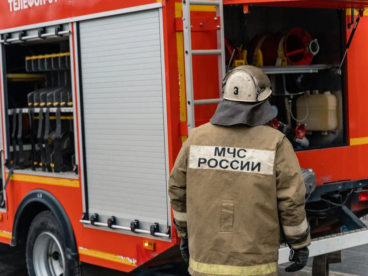 В Рязанской области потушили три пожара за сутки