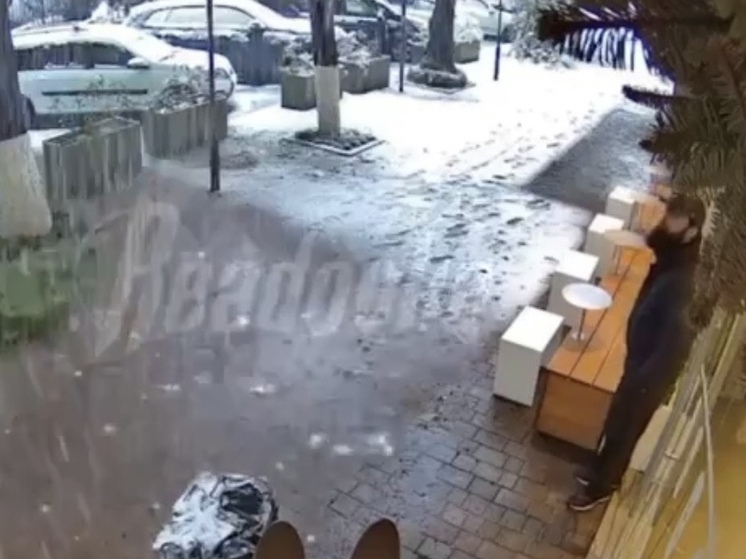 Еловые ветви рухнули возле сочинского кафе и едва не задели мужчину