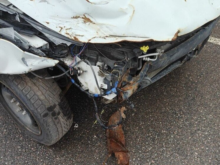 В Ленобласти 64-летний водитель выехал «на встречку» и разбился насмерть