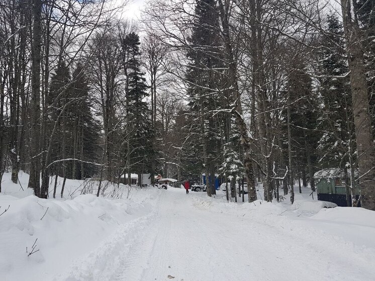 Энергетики вернули свет в дома 9,5 тысяч жителей Кубани