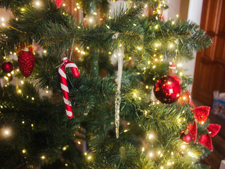 Колесов спрогнозировал петербуржцам небольшое потепление в Рождество