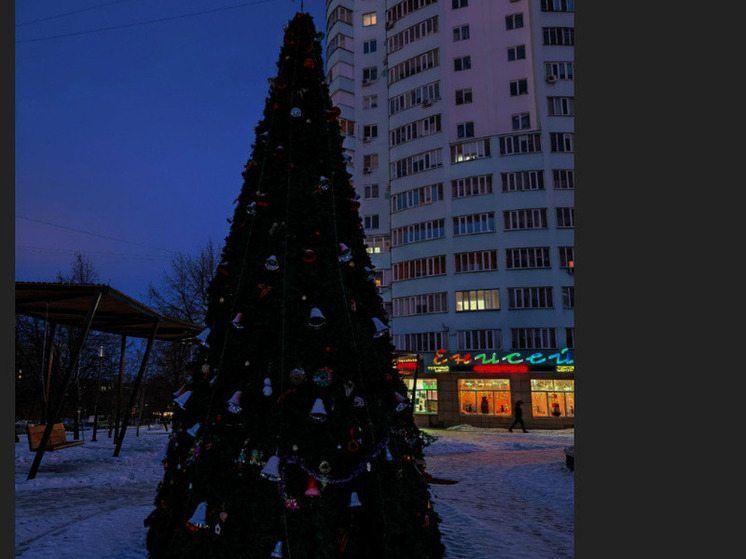 Мэр Белгорода отреагировал на жалобу о неработающей елке в микрорайоне Луч