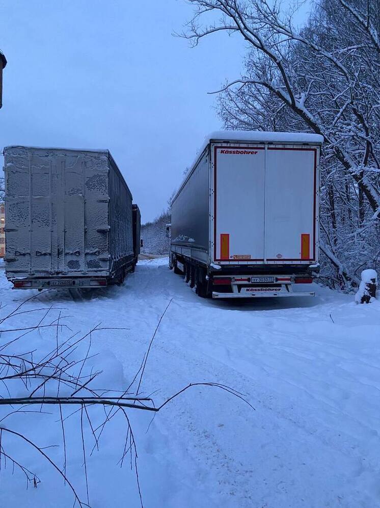 Автоэксперт Крохмаль: Продажи автомобилей из-за рубежа упали практически на 40%