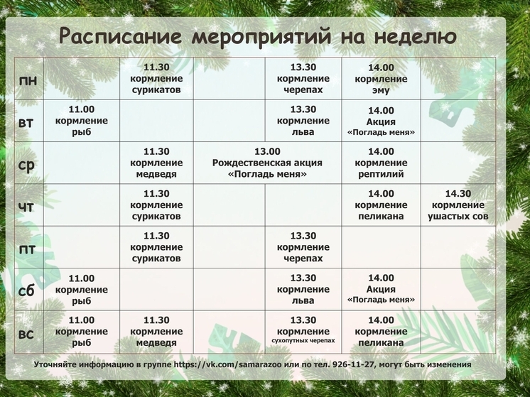 Самарский зоопарк опубликовал расписание показательных кормлений с 5 по 11 января