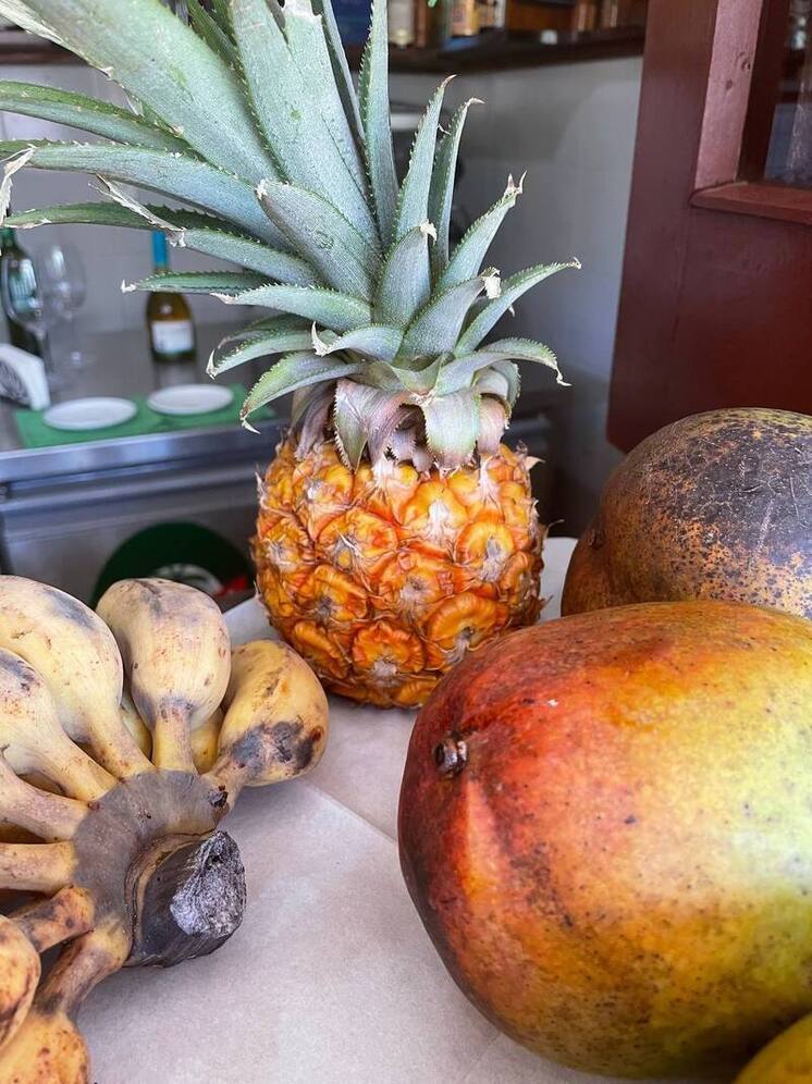 Северянам предлагают проверить уровень витамина D