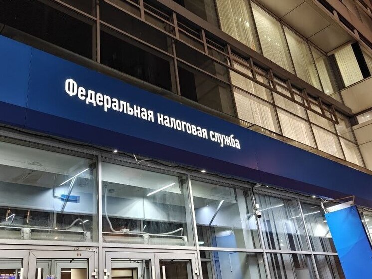 В 2025 году в Петербурге зарегистрировались почти 15 тысяч новых ИП