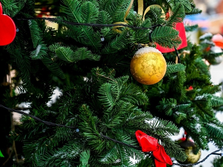 Троичанку задержали за кражу елочных игрушек: ущерб возмещен