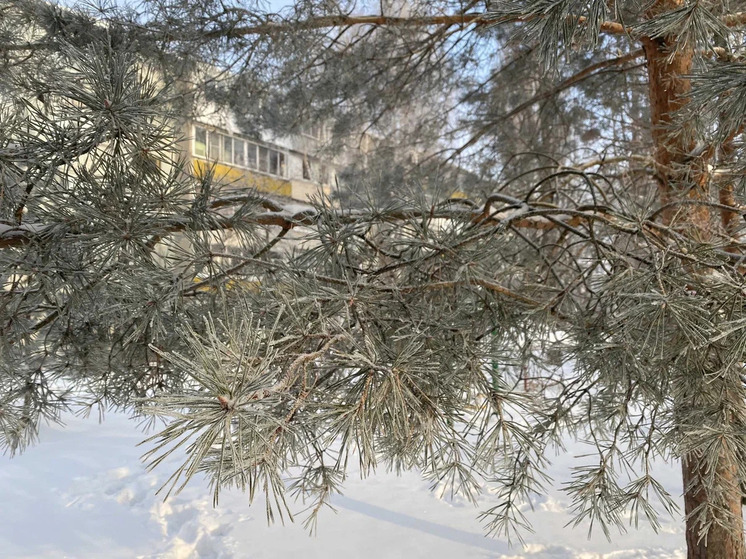 К концу недели в Рязанской области похолодает до -20°С
