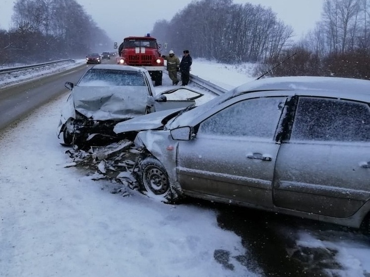 МЧС каждый день выезжает на аварии с пострадавшими на воронежских дорогах