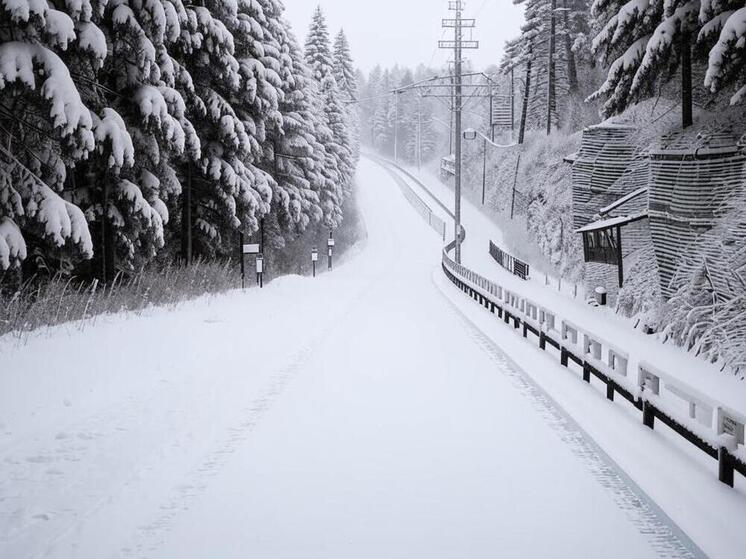В Тляратинском районе Дагестана полностью восстановлены свет и дороги после снегопада