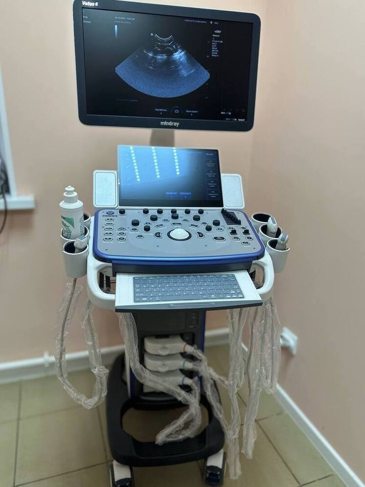 Михаил Ведерников рассказал про развитие ветеринарной службы Псковской области