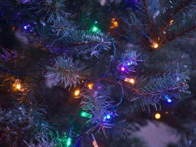 В Курске с 12 января откроют пункты приёма живых новогодних ёлок