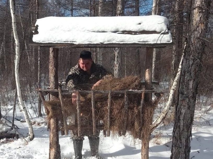 Мероприятия по охране фауны реализовали в 2025 году в Ивано-Арахлейском парке