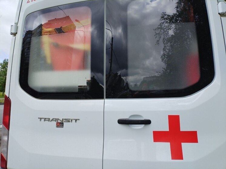 В Ленобласти охотник принял машину за лося и застрелил человека