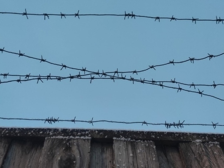 Житель Тотьмы заключен под стражу на насилие над несовершеннолетней