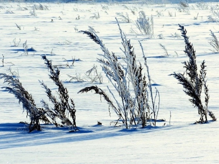 Завтра приметы расскажут о погоде в Калмыкии на ближайшее время