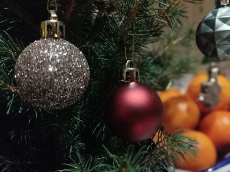 Новогоднюю мечту Софьи из Петербурга исполнил генерал-лейтенант Павел Фрадков