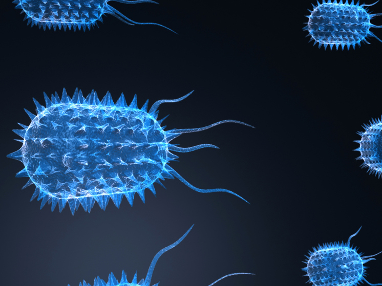 Заболеваемость гриппом в Поморье превысила эпидпорог