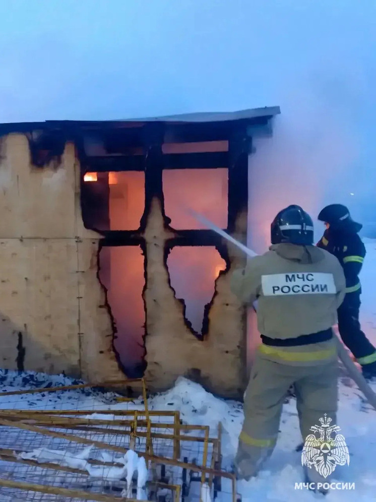 В орловском поселке Зареченский сгорела хозпостройка