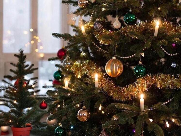 Праздновать Рождество зовут псковичей на площадь Ленина