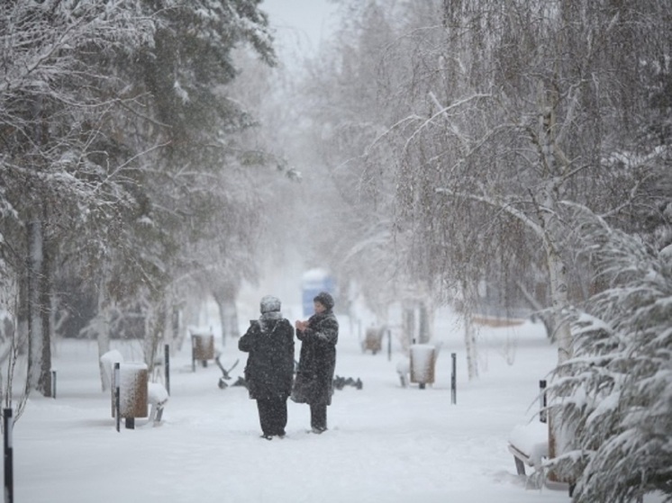 Волгоградцам объяснили, как не замерзнуть на долгой прогулке зимой