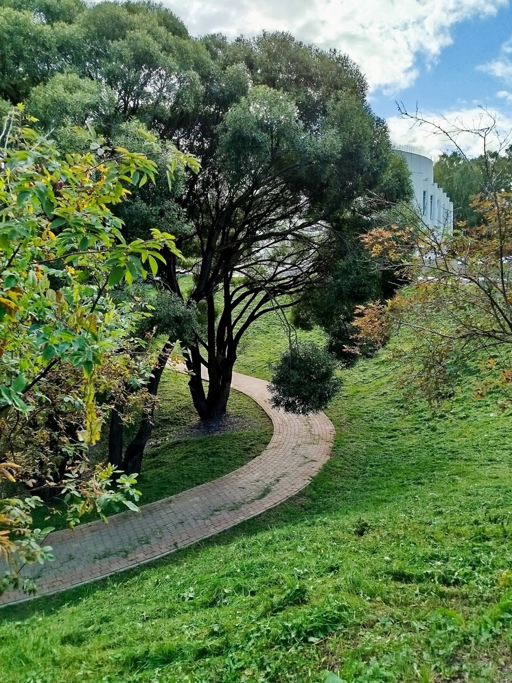 Из федерального бюджета выделили более 100 млн на обновление парка в Кирове