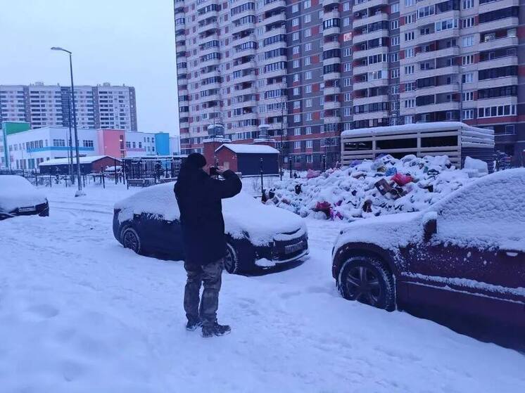 Экологи Ленобласти вышли в рейды даже в новогодние каникулы