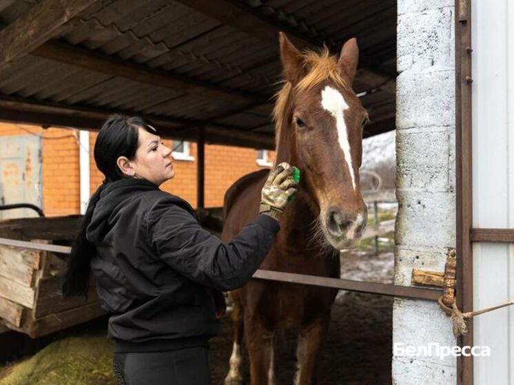 Лошади стали смыслом жизни Екатерины Сидельниковой