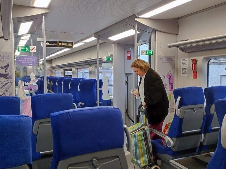 Поезда на «Ласточке» и «Финиксе» с 1 января в Петербурге обойдется в 65 рублей