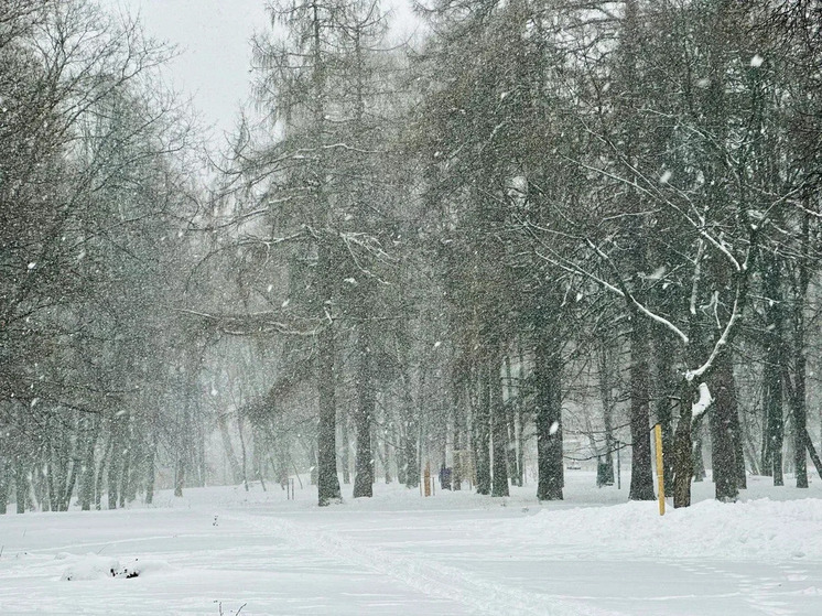 Во вторник в Рязанской области будет облачно и снежно