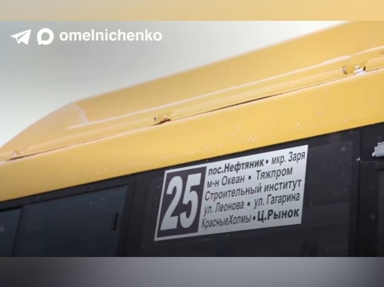 Автобусы большого класса начали курсировать по маршруту №25 между Зарей и центром Пензы